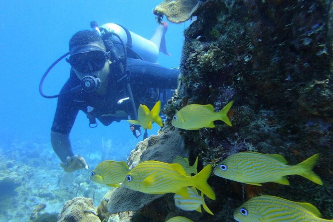 Catalina Island Scuba Diving and Snorkeling Tour From Punta Cana - Activity Details