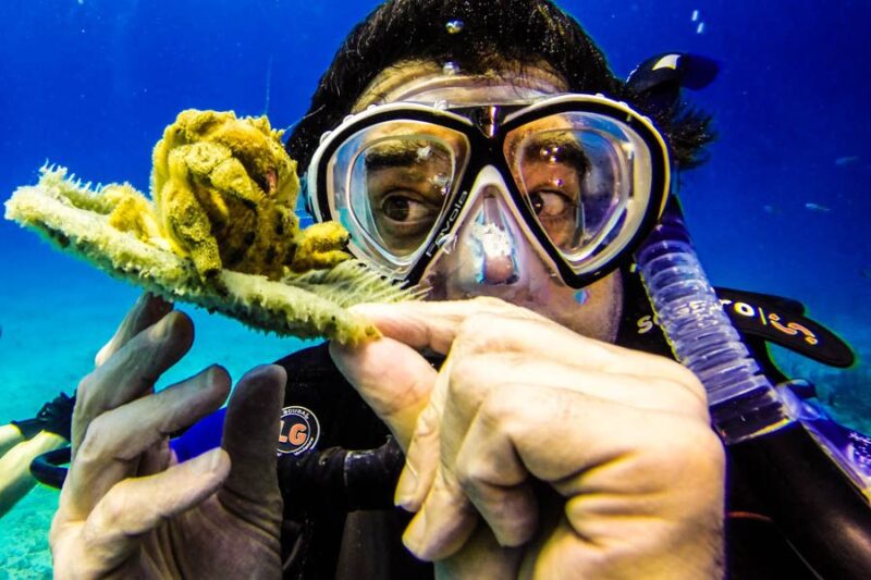Catalina Island Scuba Diving Tour From Punta Cana - Itinerary