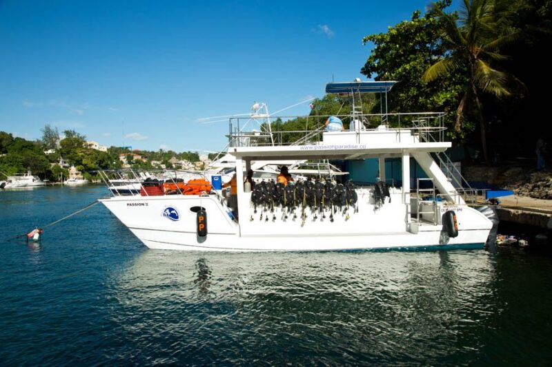 Catalina Island Scuba Diving Tour From Punta Cana - Inclusions