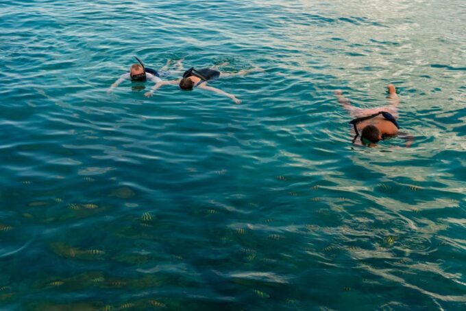 Catalina Island Snorkel With Food and Drinks (Full Day) - Frequently Asked Questions