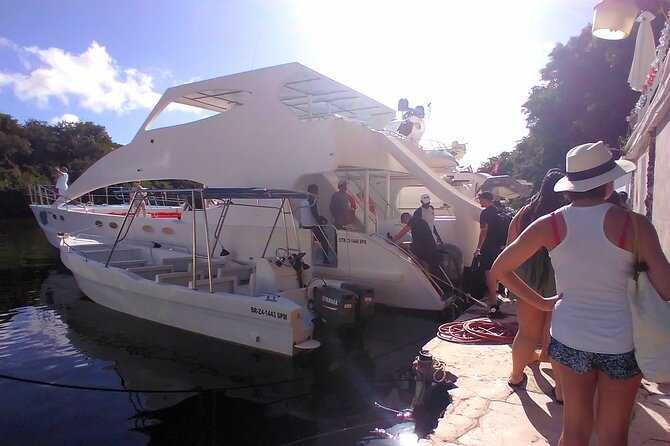 Catalina Island Snorkeling Adventure With Altos De Chavon - Whats Included in the Tour