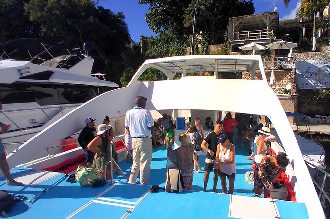 Catalina Island Snorkeling Adventure With Altos De Chavon - Booking and Pricing Information