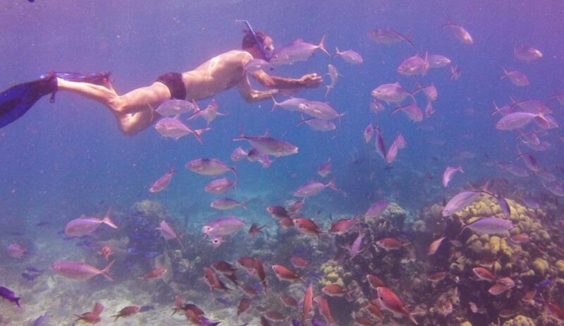 Catalina Island Snorkeling Dominican Republic - Pricing and Packages