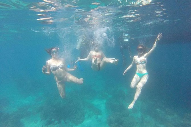 Catalina Island & Snorkeling Full-day Trip - Dining and Open Bar