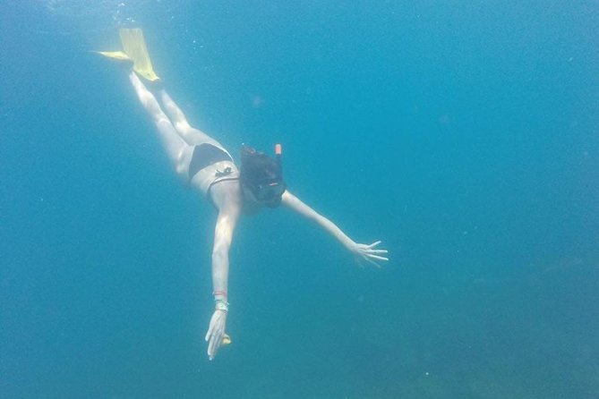 Catalina Island & Snorkeling Full-day Trip - Booking Your Stay