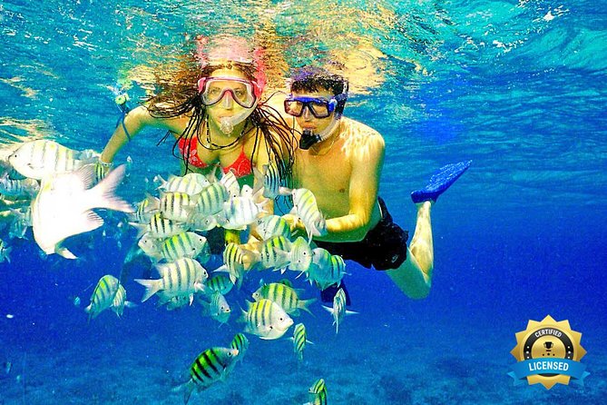 Catalina Island & Snorkeling Tour - Pickup and Transportation
