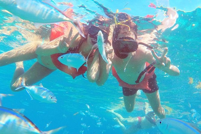 Catalina Island & Snorkeling Tour - Catalina Island Relaxation