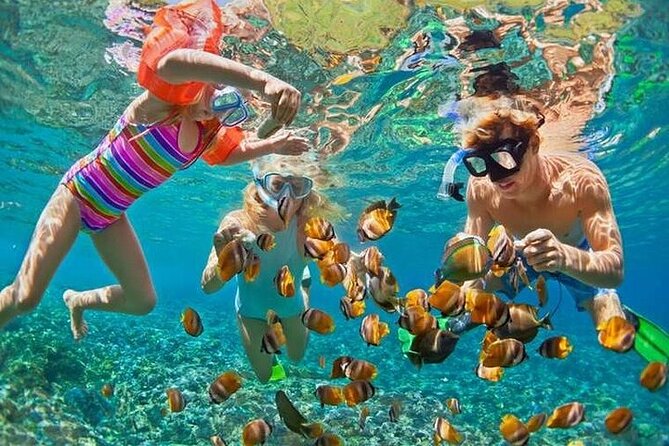 Catalina Island Tour With Snorkelling and Lunch - Catalina Island Exploration