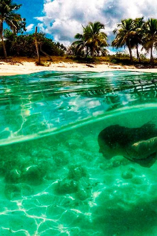 Catalina Island Tour With Snorkelling and Lunch - Transportation Details