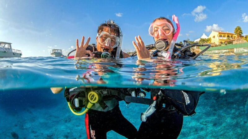 Catalina Island Tour With Snorkelling and Lunch - Included Activities