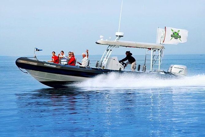 Catalina Island Trip With Hotel Transfers & Optional Tours - Getting to Catalina Island