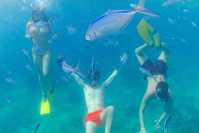 Catalina Island With Altos De Chavon - Full Day All Inclusive - Booking Your Stay