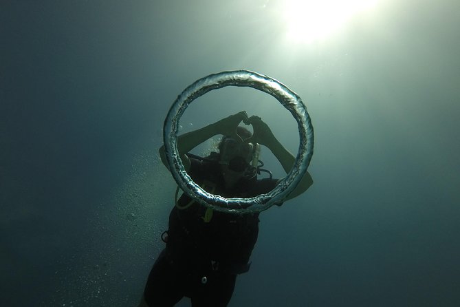 Catalina Island With Scuba Diving - Full Day Tour - Diving Experience