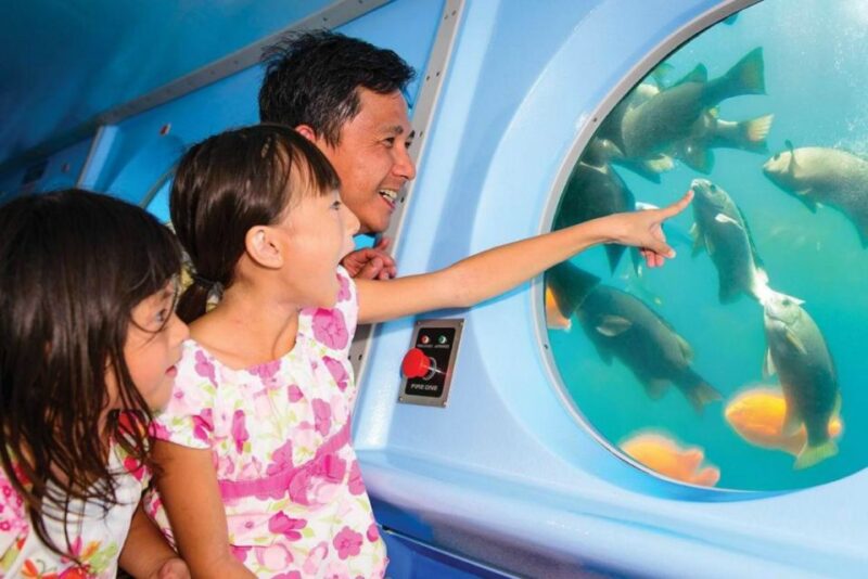 Catalina Island: Yellow Semi-Submarine Cruise - Key Points