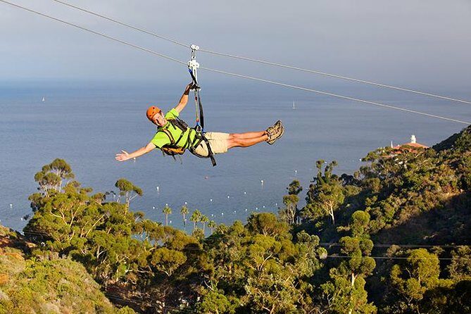 Catalina Island Zip Line Eco Tour - Key Points: