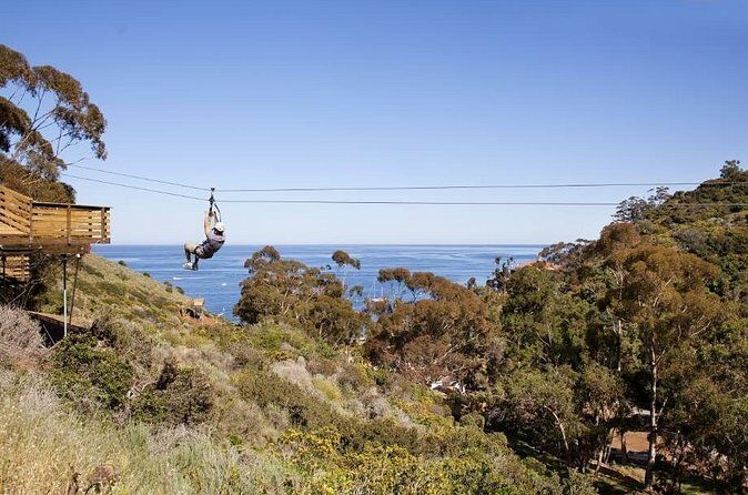 Catalina Island Zip Line Eco Tour - Who Should Consider This Tour?