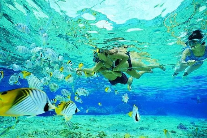 Catamaran Adventure Full Day: Ile Aux Cerfs,Grse Waterfall,Snorkeling &Bbq Lunch - Exploring Ile Aux Cerfs Island