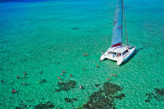 Catamaran Adventure Full Day: Ile Aux Cerfs,Grse Waterfall,Snorkeling &Bbq Lunch - Dining Options and Preferences