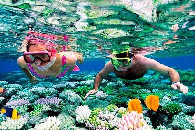 Catamaran Adventure to Isla Mujeres With Snorkel,Buffet,Open Bar and Beach Club - Capacity and Accessibility