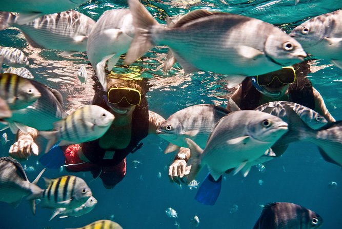 Catamaran and Snorkeling Cruise At Carlisle Bay - Booking and Confirmation Details