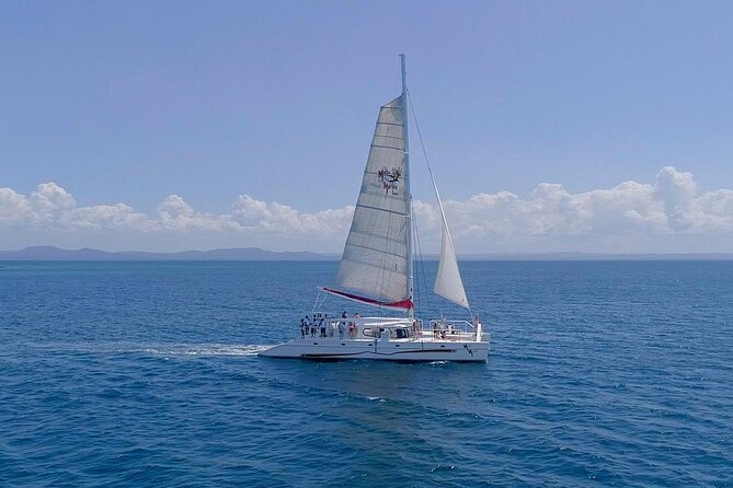 Catamaran Boat Tour With Snorkeling and Lunch - Reviewing the Tours Stellar Ratings
