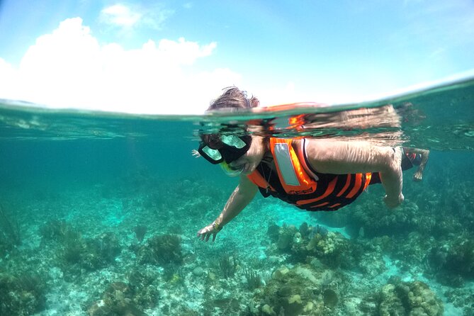 Catamaran Cancun to Isla Mujeres - Accessibility and Participation