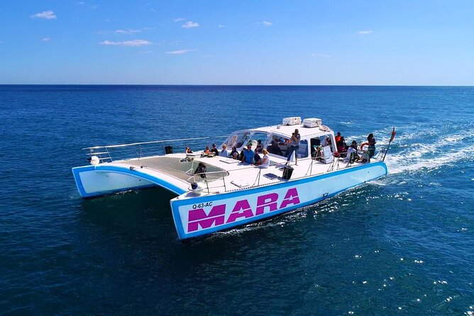 Catamaran Cruise: Caves and Coastline to Benagil - Cruise Scheduling and Departure