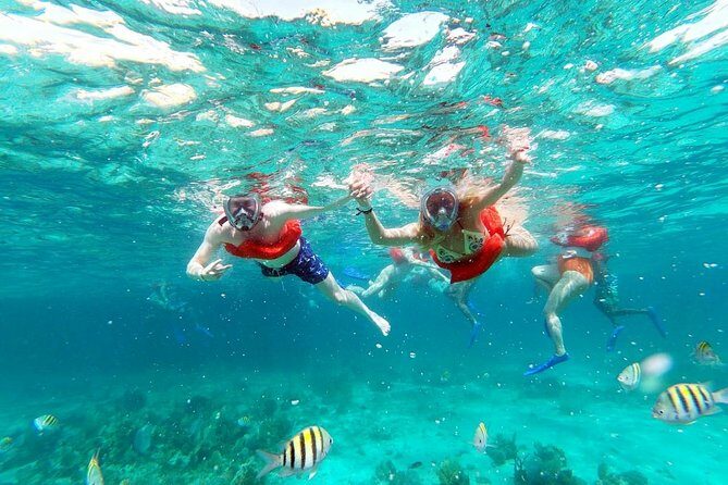 Catamaran Cruise Full Day Tour to Reef, Caves and Negril Beach - Who Is This Tour Best Suited For?