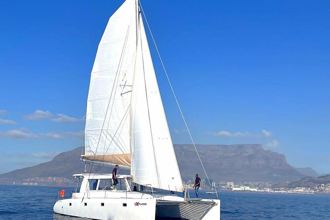 Catamaran Cruise in Cape Town - Meeting and Departure Points
