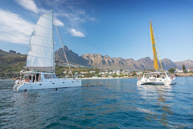 Catamaran Cruise in Cape Town - Booking and Ticket Information