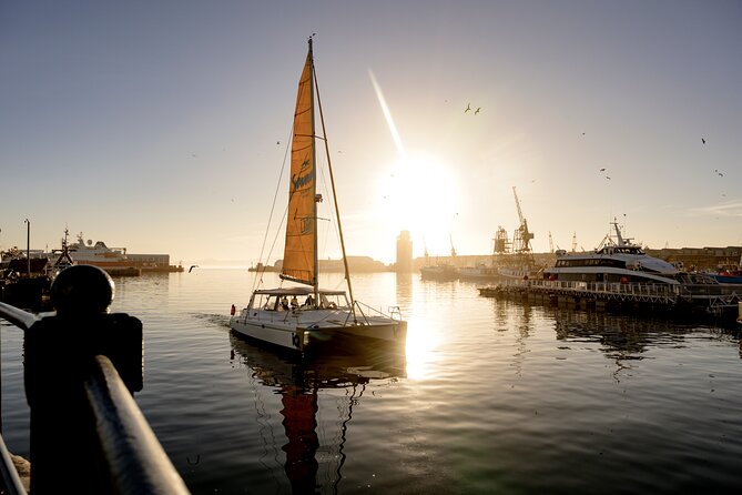 Catamaran Cruise in Cape Town - Accessibility and Participation