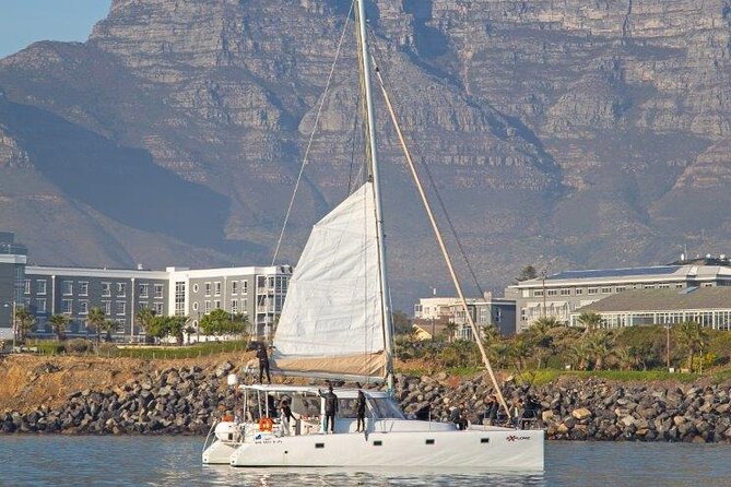 Catamaran Cruise in Cape Town - Customer Reviews and Ratings