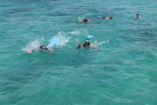 Catamaran Cruise: Isle Aux Cerfs, Including BBQ Lunch, in Mauritius - Reviews and Ratings