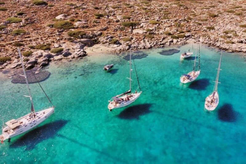 Catamaran Cruise to Dia Island and Transfer Service - Cruise Highlights