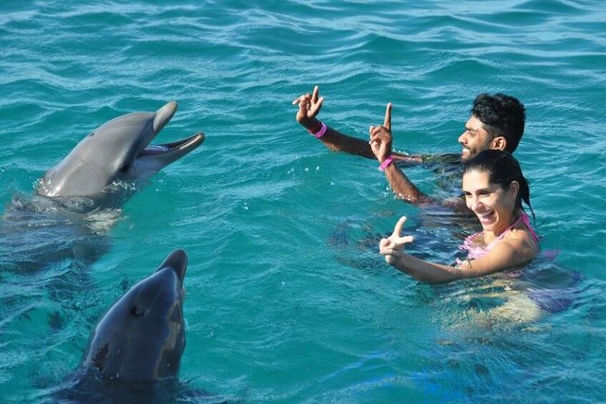 Catamaran Cruise to Ile Aux Bénitiers: Dolphin Watch, Crystal Rock & Transfer - Dolphin Watching Experience