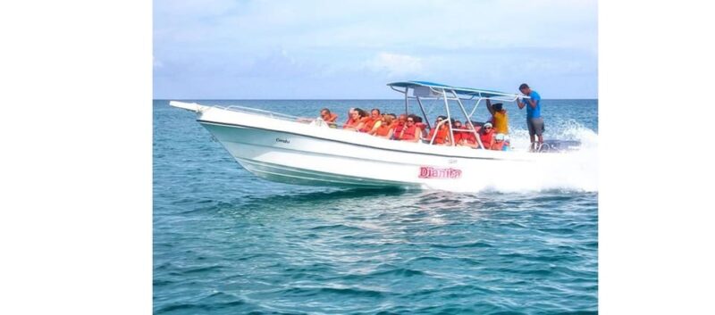 CATAMARAN CRUISE TO SAONA ISLAND WITH BUFFET LUNCH - Culinary Experience