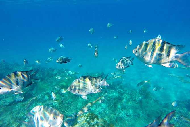 Catamaran Cruise With Snorkeling and Lunch on Board! - Lunch Menu