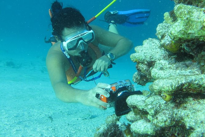 Catamaran Cruise With Snorkeling, Hooka Diving and Parasailing - Departure and Return Details
