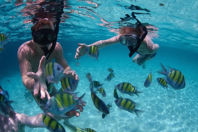 Catamaran Cruise With Snorkeling & Parasailing - Important Restrictions