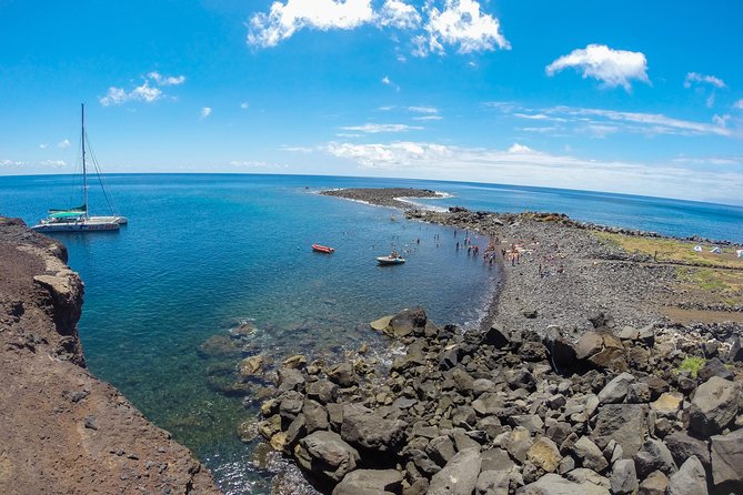 Catamaran Day Cruise to Desertas Islands From Funchal - Wildlife and Natural Environment