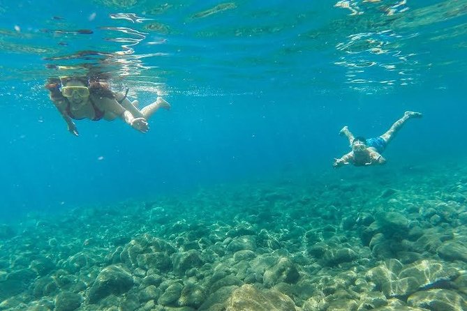 Catamaran Day Cruise to Desertas Islands From Funchal - What to Expect on the Cruise