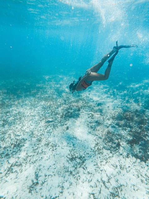 Catamaran Deluxe to Isla Mujeres From Cancun for the Less - Availability and Participant Selection