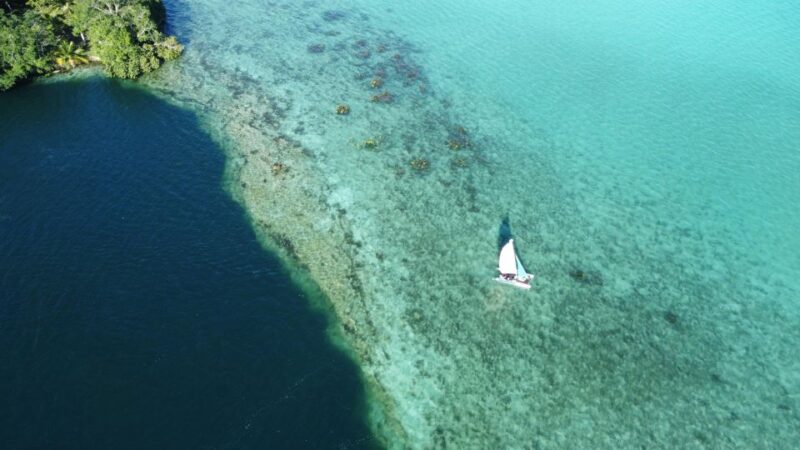 Catamaran: Discover Bacalar With the Wind - Tropical Fruit Snack at Sunset