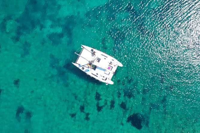 Catamaran Excursions in the Asinara Island National Park - Itinerary and Activities