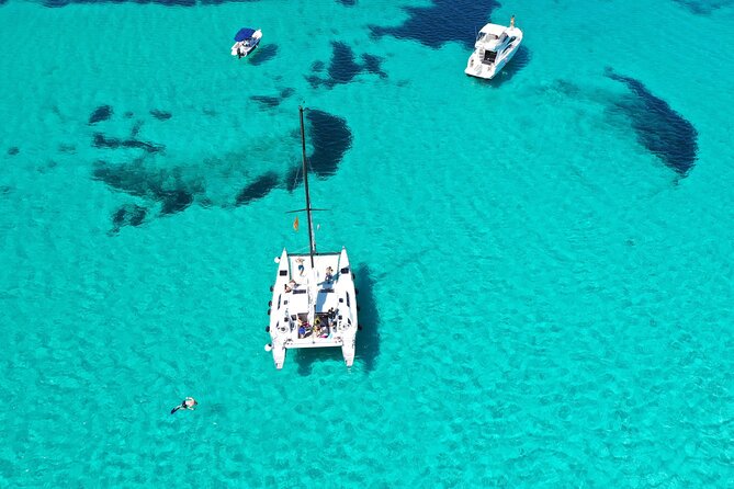 Catamaran Excursions in the Asinara Island National Park - Meeting and Pickup