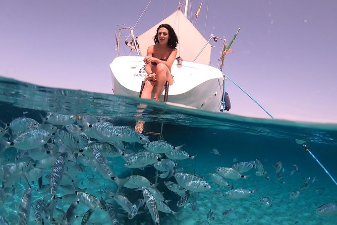 Catamaran Excursions in the Asinara Island National Park - Additional Information