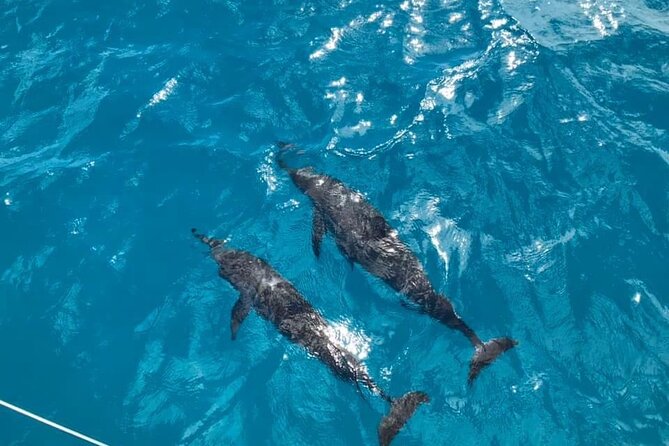 Catamaran Full-Day 3 Island Northern Isles Cruise in Grand Baie - Itinerary Highlights