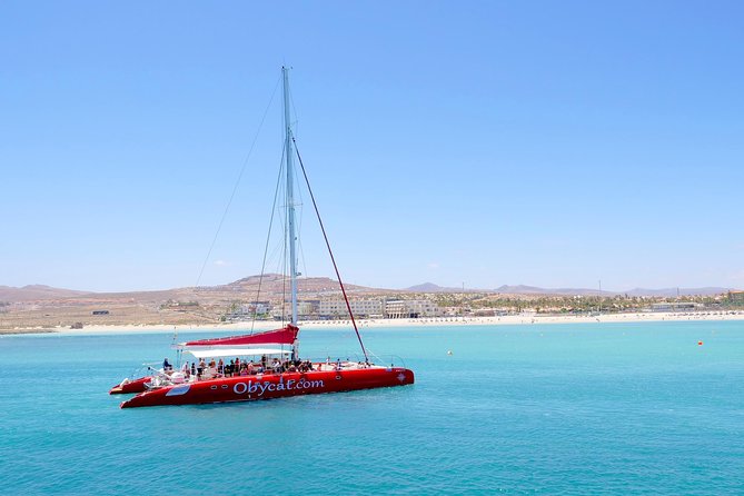 Catamaran Half-Day Cruise From Caleta De Fuste - Highlights of the Cruise