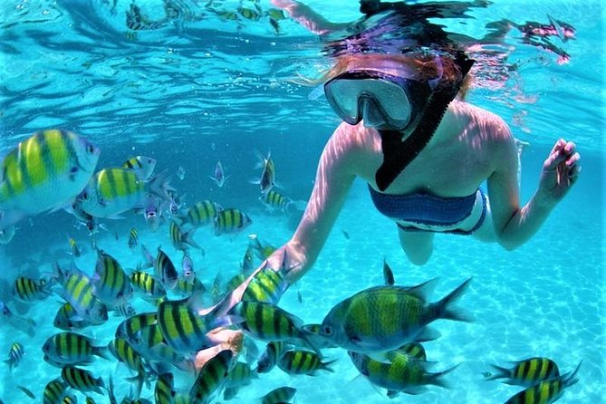 Catamaran Ile Aux Cerfs, Snorkeling + GRSE Waterfall, BBQ & Bar - Accessibility Considerations
