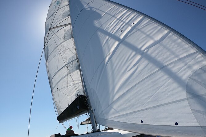 Catamaran in Alghero, Daily Boat Trip - Age and Group Size Requirements